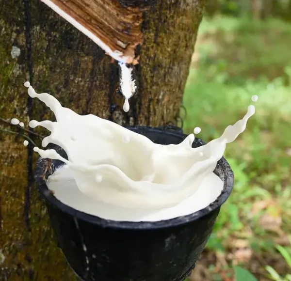 Natural Rubber