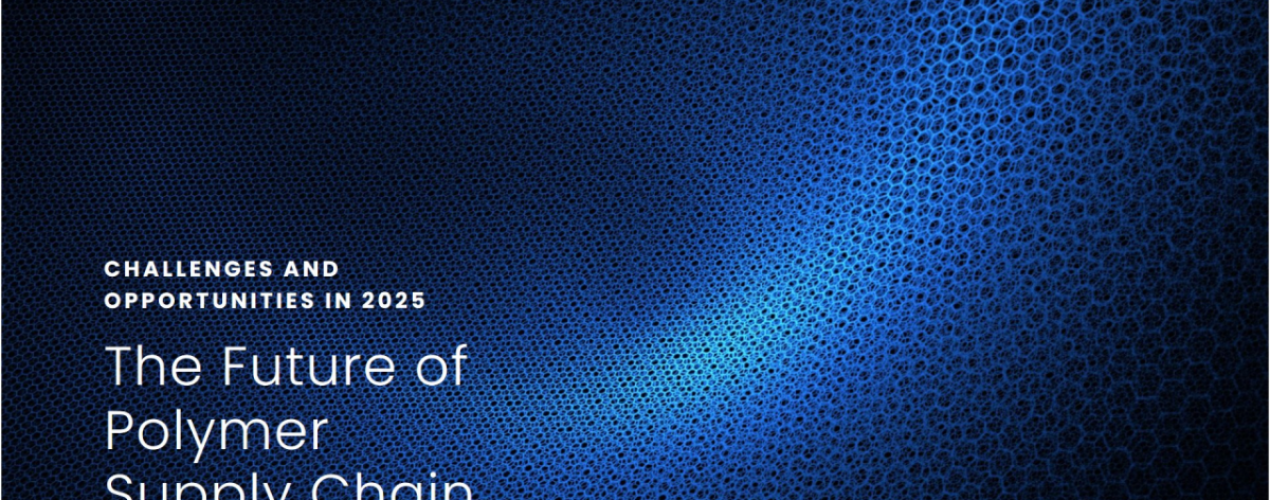 The Polymer Supply Chain in 2025